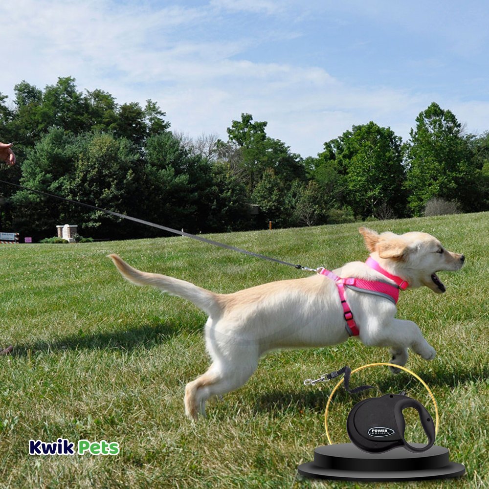 Coastal Retractable Dog Leash Black Small 16 ft, Kwik Pets