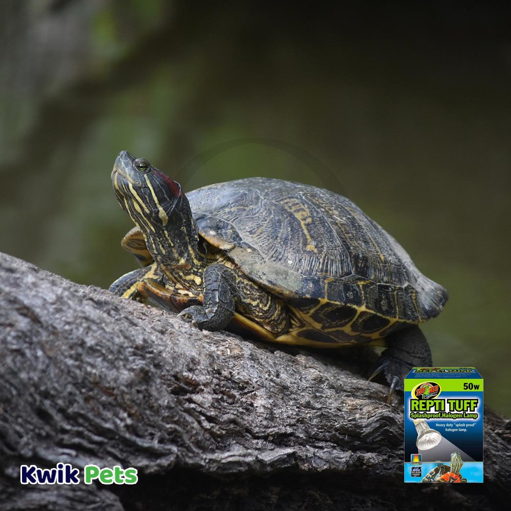 Zoo Med Repti Tuff Splashproof Halogen Lamp for Turtles