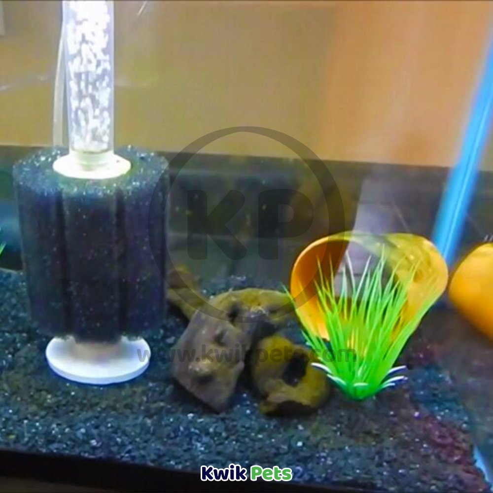 Aquatop Classic Aqua Flow Internal Sponge Filter Online