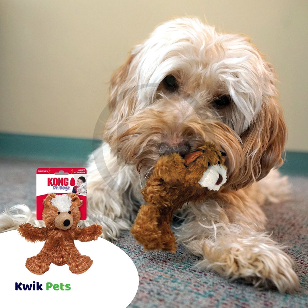 KONG Unstuffed Dog Toy Teddy Bear with Squeaker, MD, KONG