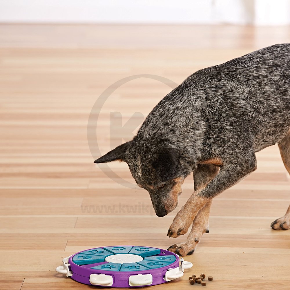 Lifestyle of Nina Ottosson Twister Interactive Dog Toy Purple Large 13.25-in