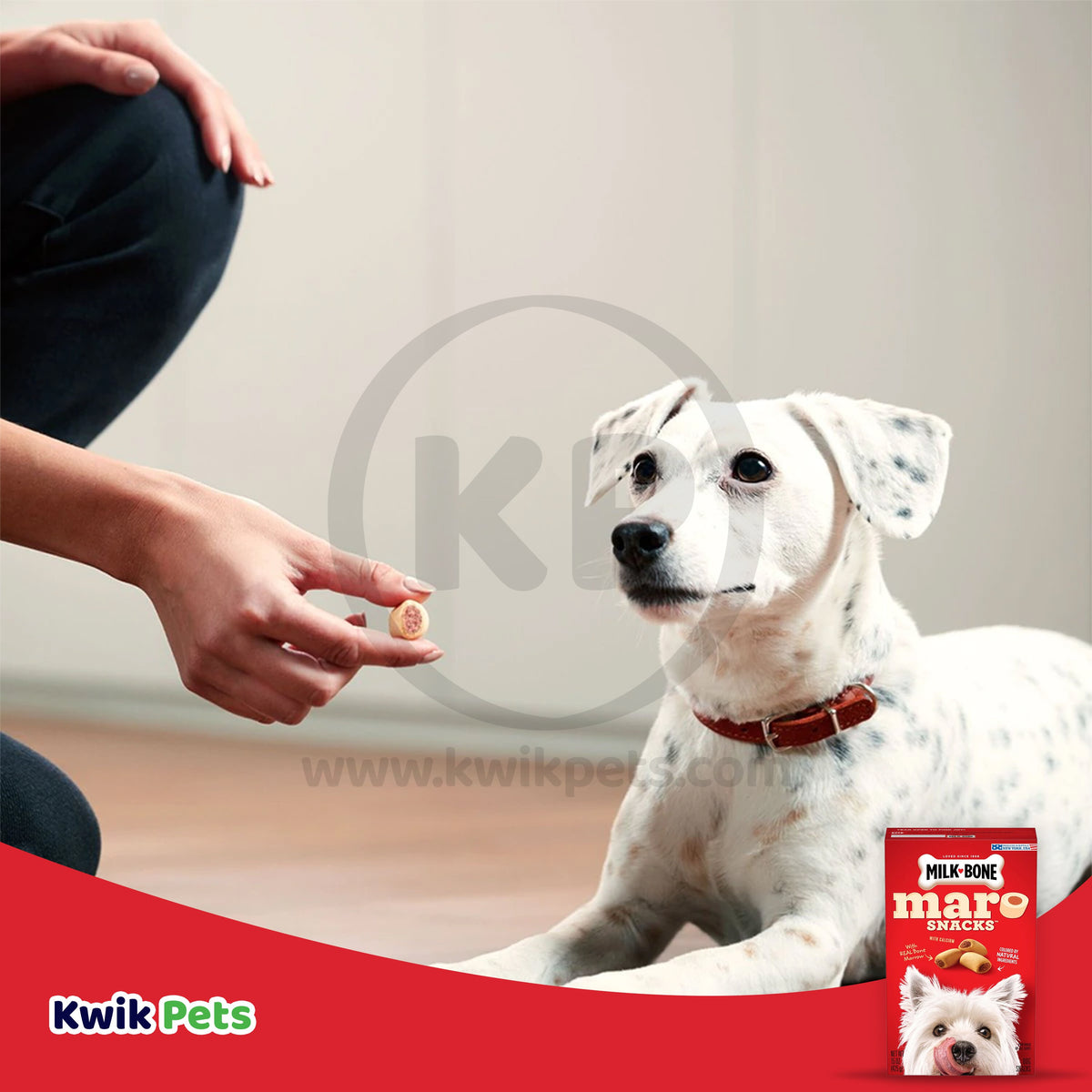 Milk-Bone MaroSnacks Dog Treat, 15 oz, Milk-Bone