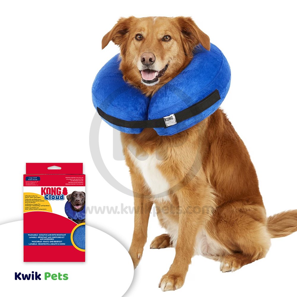 Dog Image of KONG Inflatable E-Collar Blue Large