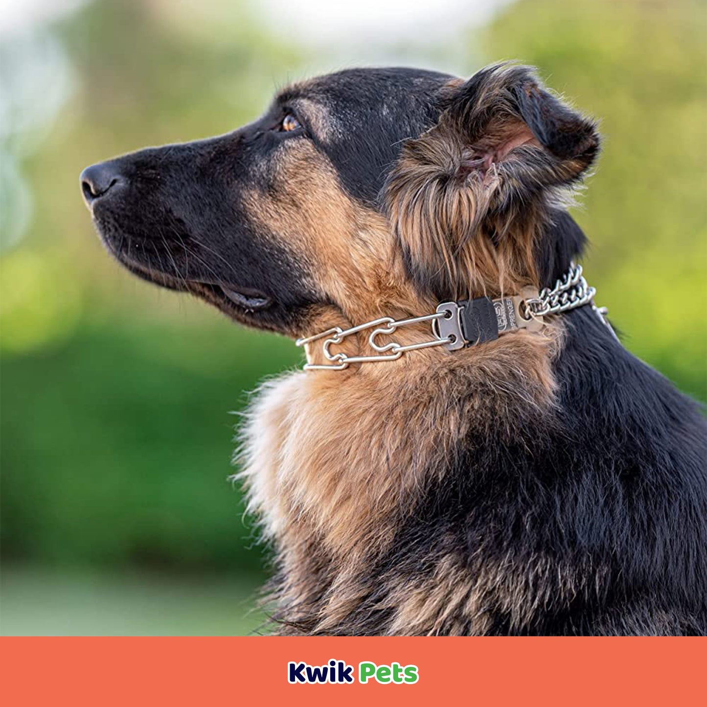 Herm Sprenger Prong Extra Links for Dog Prong Collar, Herm Sprenger