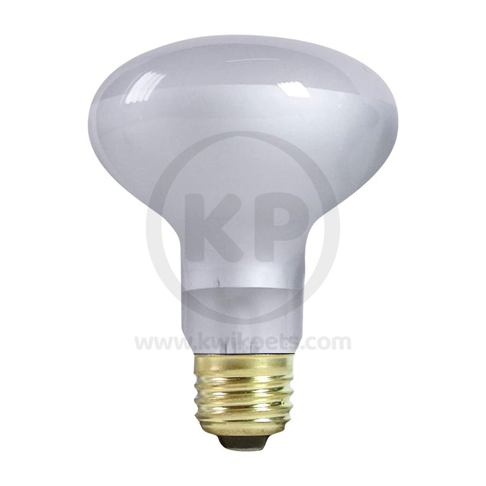 Zilla Incandescent Spot Bulbs Day White 50 W, Zilla