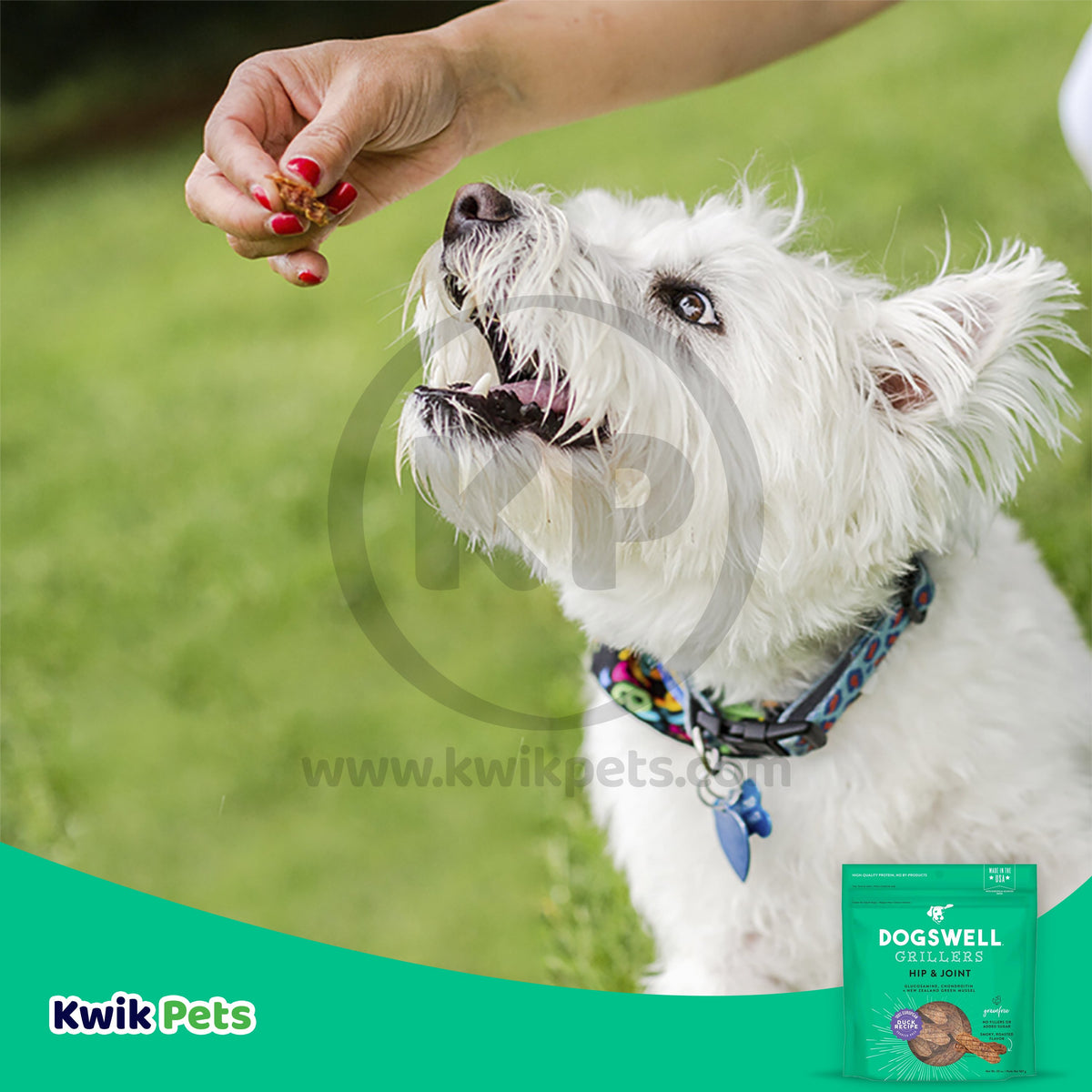 Dogswell Hip & Joint Grillers Grain-Free Dog Treats Duck, 20 oz, Kwik Pets