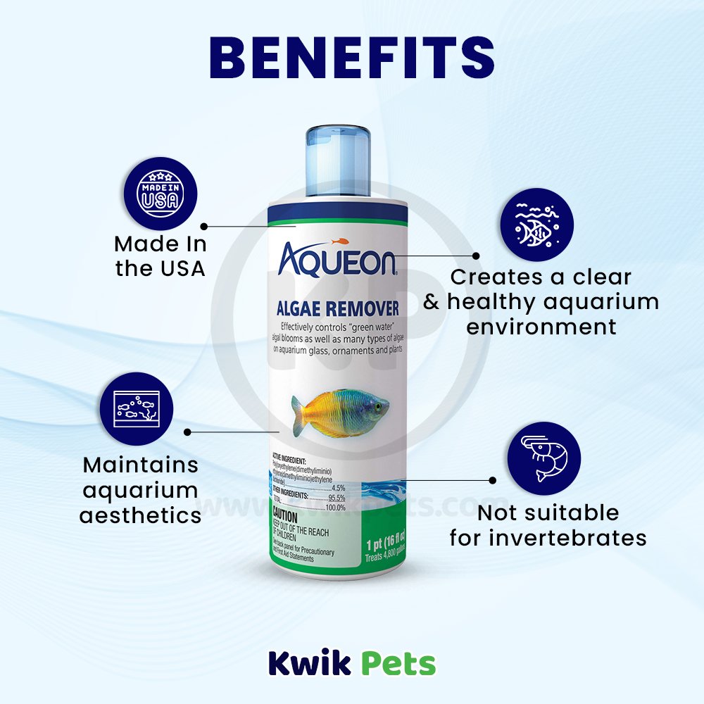 Aqueon Algae Remover, Aqueon