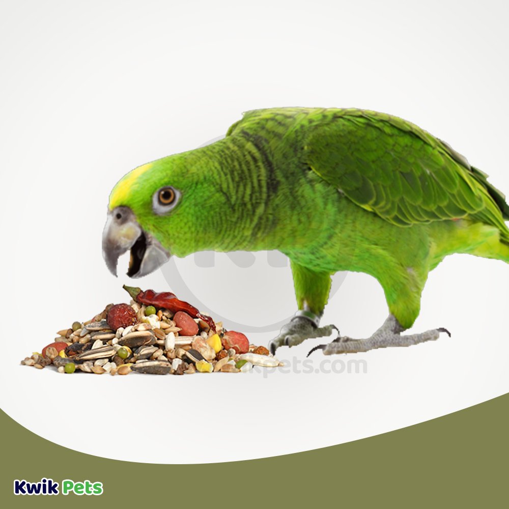 Volkman Seed Company Avian Naturals Large Parrot Bird Food 4-lb, Volkman