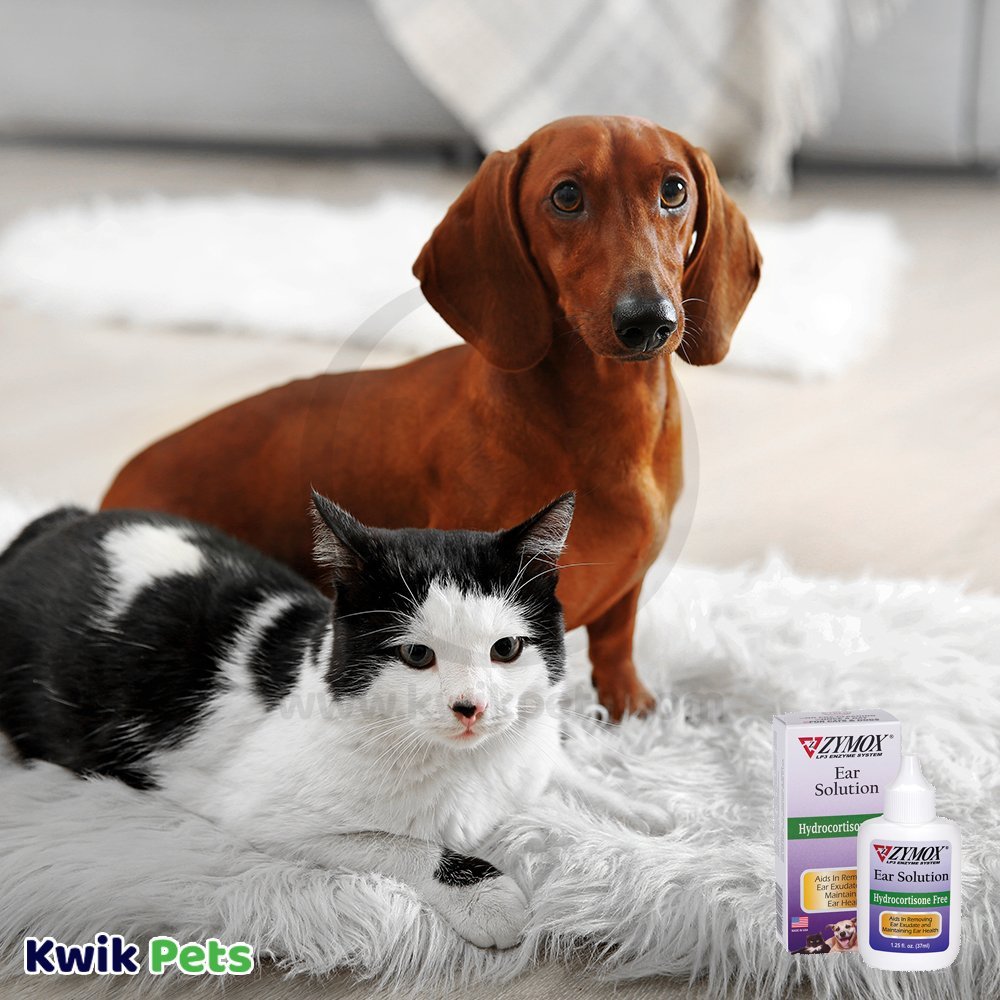 Cat and Dog Image of Zymox Ear Solution without Hydrocortisone 1.25-oz