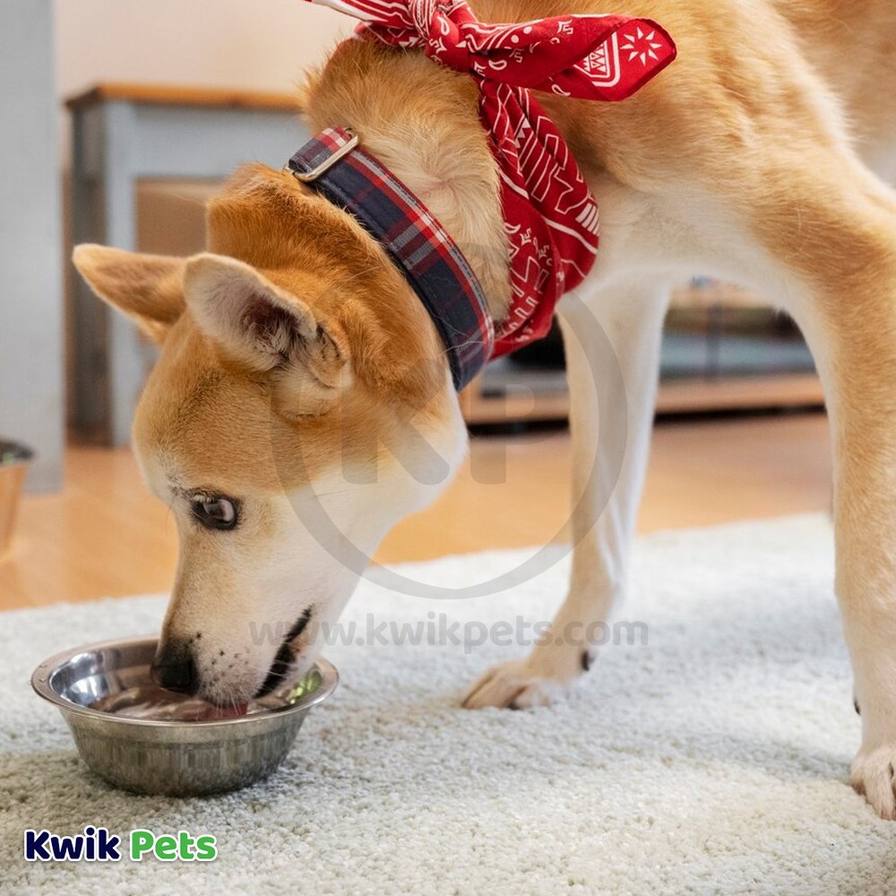 Bocce's Bakery Burgers & Fries Crunchy Biscuits Dog Treats Beef Sweet Potato & Cheese 5-oz, Kwik Pets