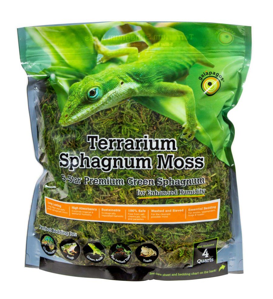Galapagos Green Sphagnum Moss for Reptiles, Amphibians & Insects Terrarium 4 Quarts, Kwik Pets