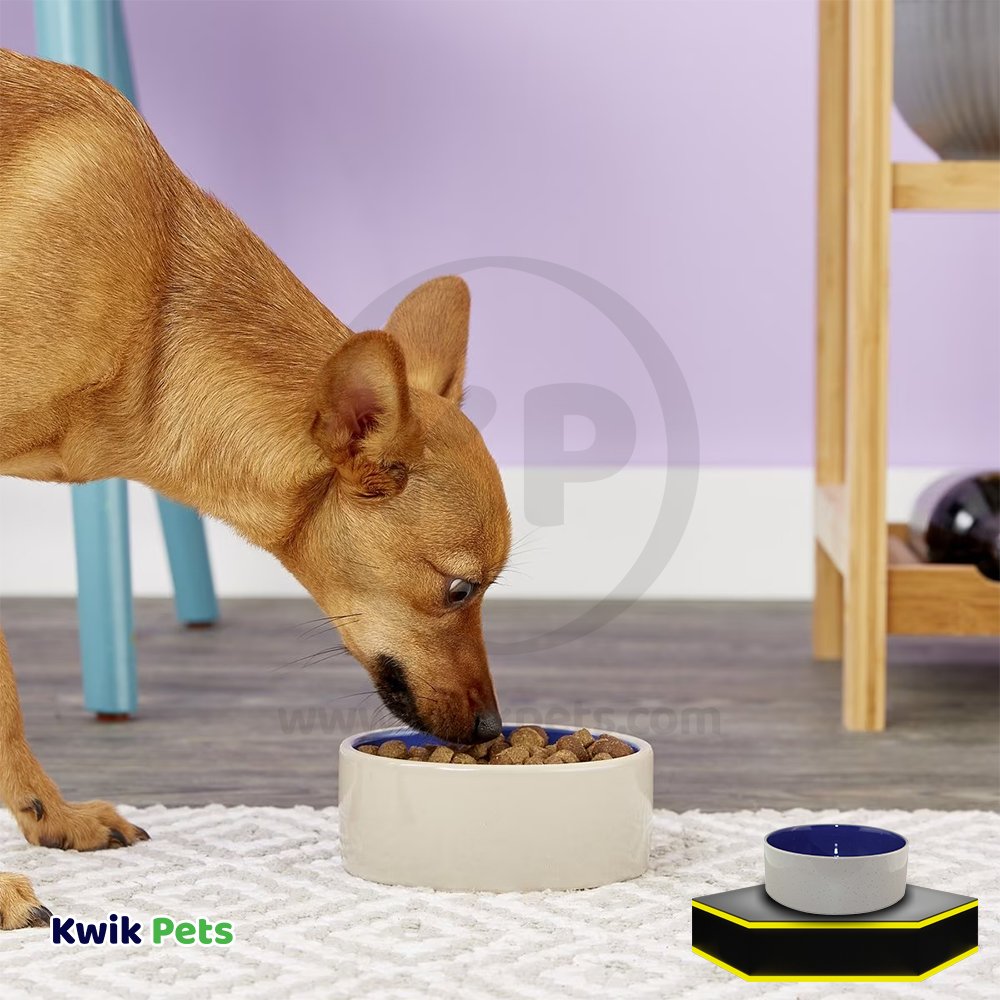 Get Ethical Pet Spot Standard Crock Dog Bowl Blue
