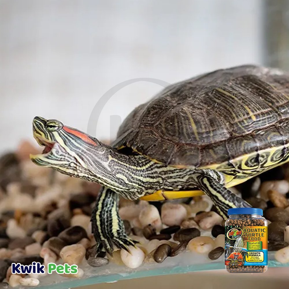 Zoo Med Natural Aquatic Dry Food for Turtle to Shop