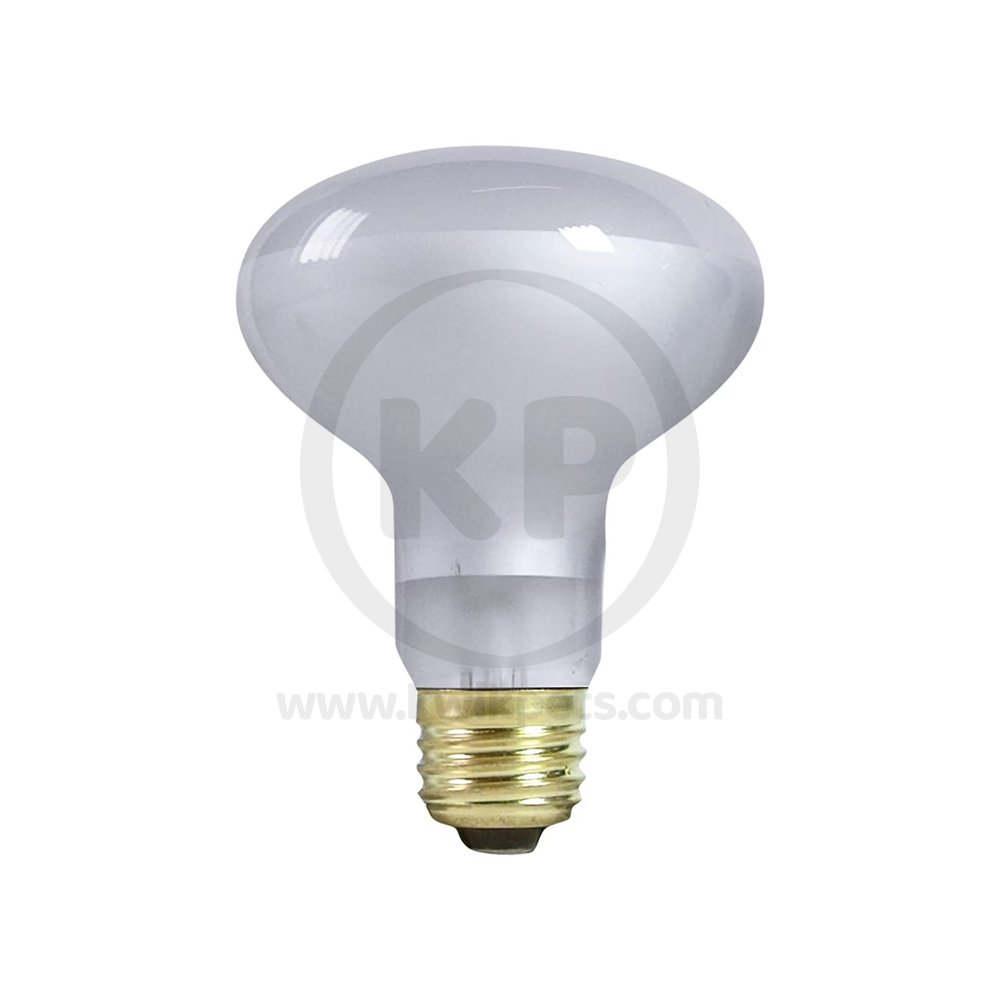 Zilla Incandescent Spot Bulbs Day White, 75 W, Zilla