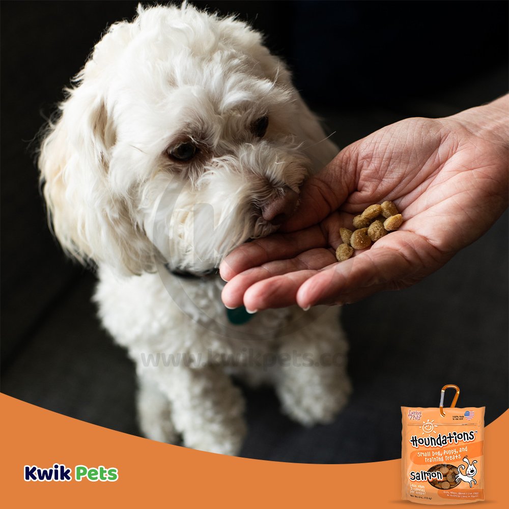 Loving Pets Houndations Small Dog & Puppy Training Treats Salmon 4-oz, Kwik Pets