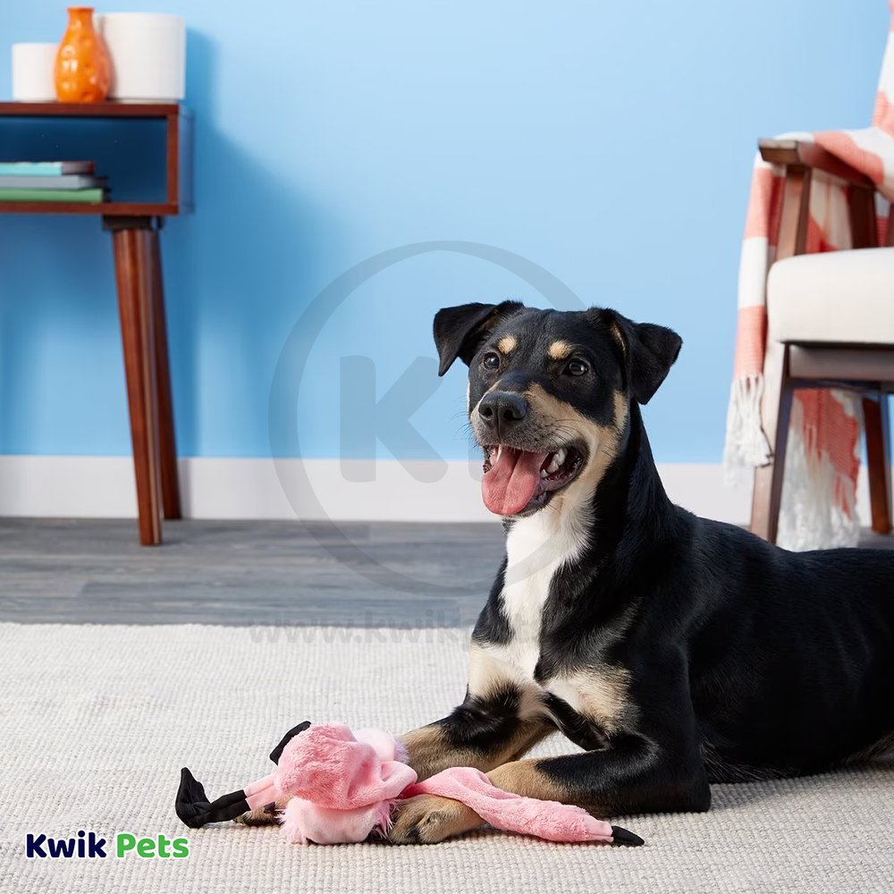 Skinneeez Exotic Series Dog Toy Flamingo Pink Regular, Kwik Pets
