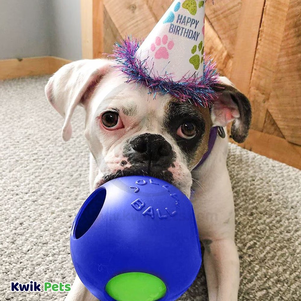 Jolly Pet Teaser Ball Dog Toy Blue Medium 6-in, Kwik Pets