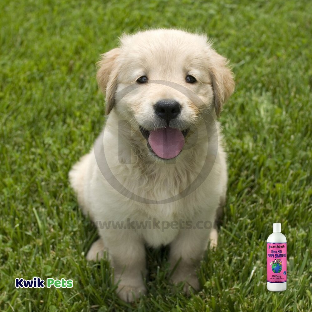 earthbath® Ultra-Mild Puppy Shampoo, Wild Cherry, Tearless & Extra Gentle, Made in USA, 16 oz, Earthbath