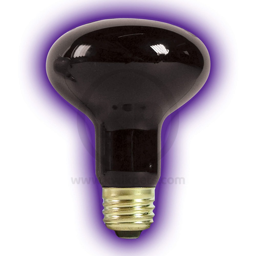 Zilla Incandescent Spot Bulbs Night Black, 100W, Zilla