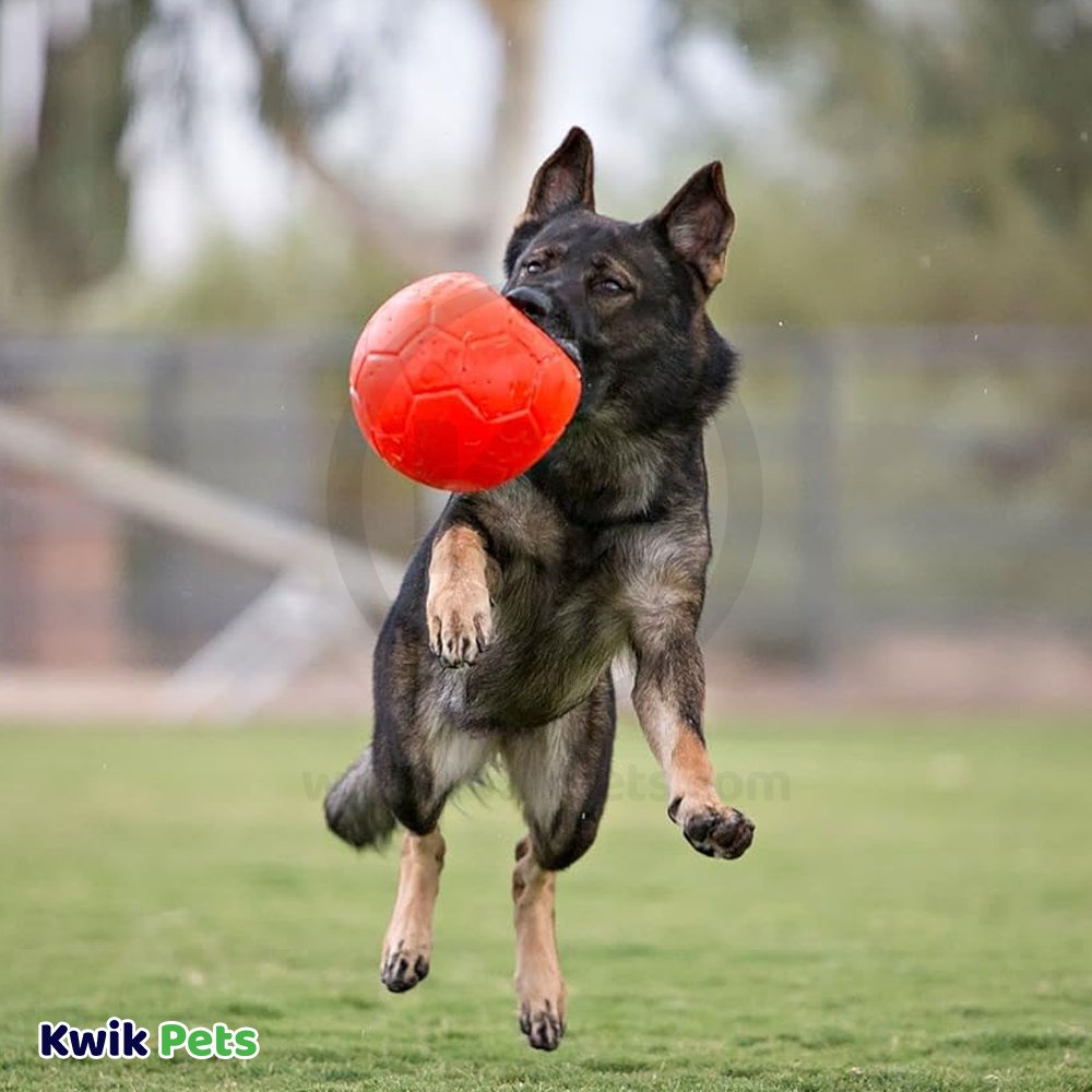 Jolly Pet Soccer Ball Boxed Dog Toy Orange Large 8-in, Kwik Pets
