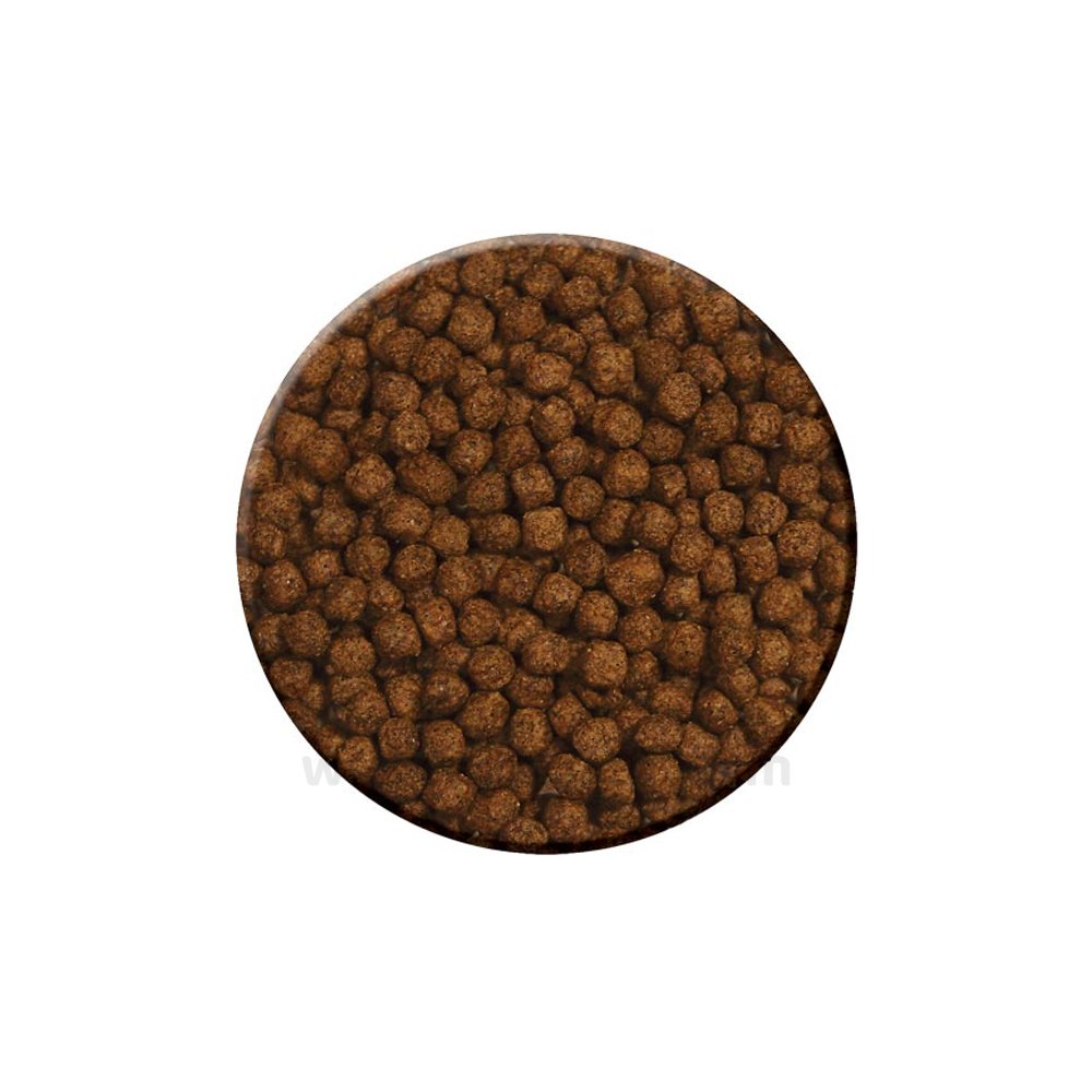 Zoo Med Natural Aquatic Food for Turtle
