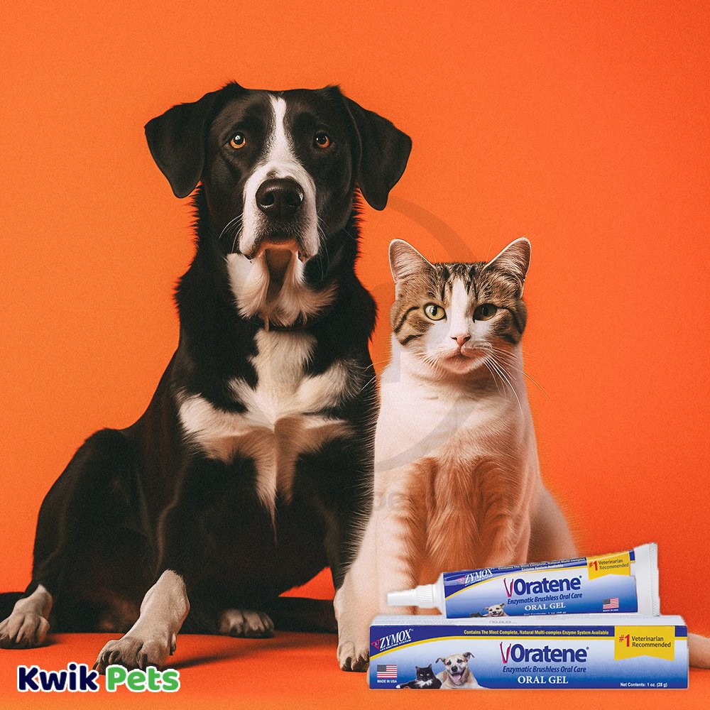 Zymox Oratene Brushless Enzymatic Oral Care for Dogs Oral Gel 1-oz - Image