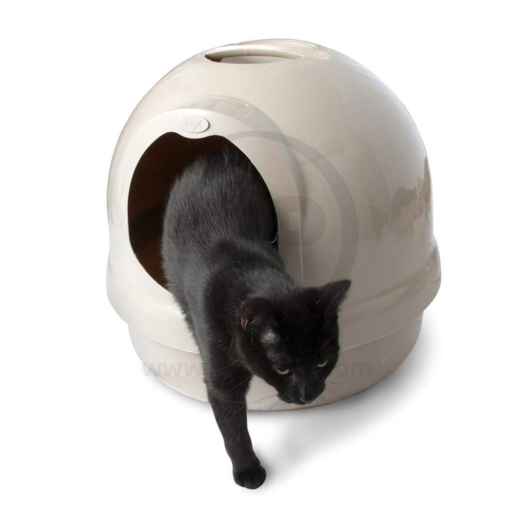Lifestyle of Booda Dome Cat Litter Box Pearl White Large