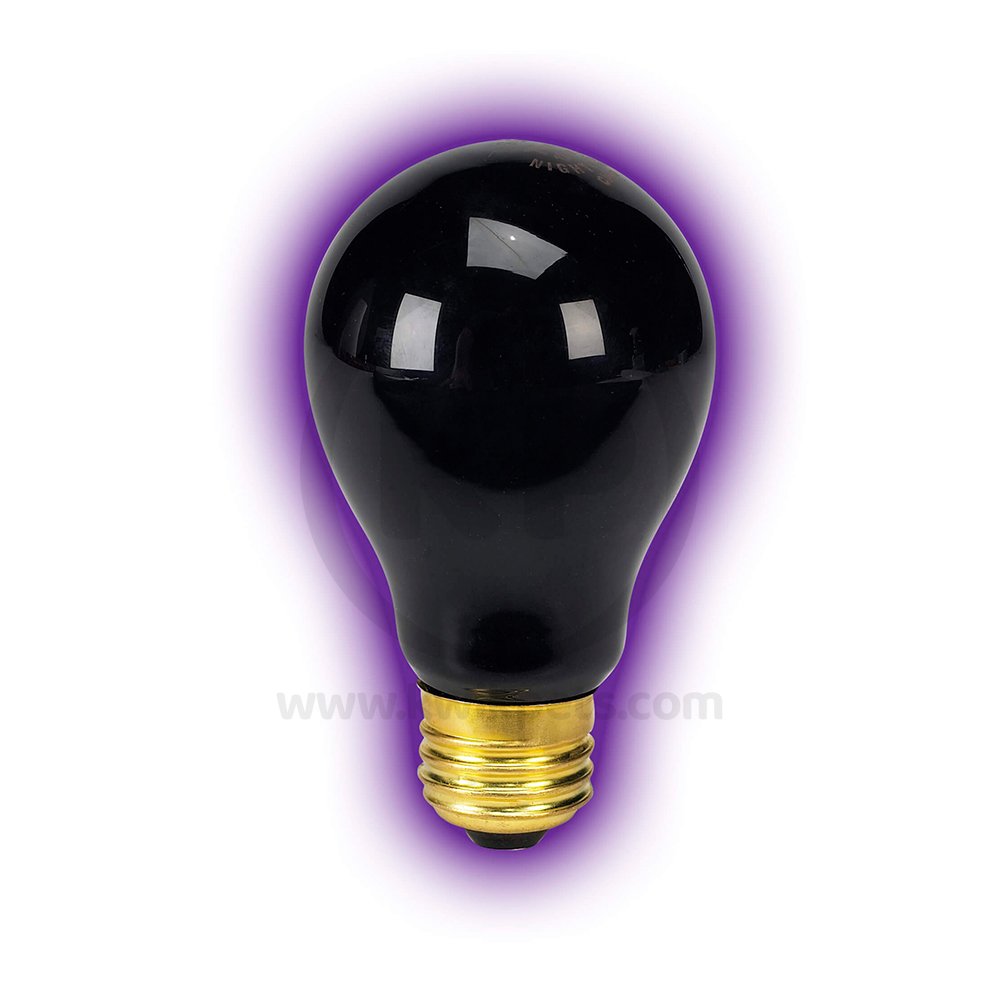 Zilla Incandescent Bulbs Night Black 50 W, Zilla