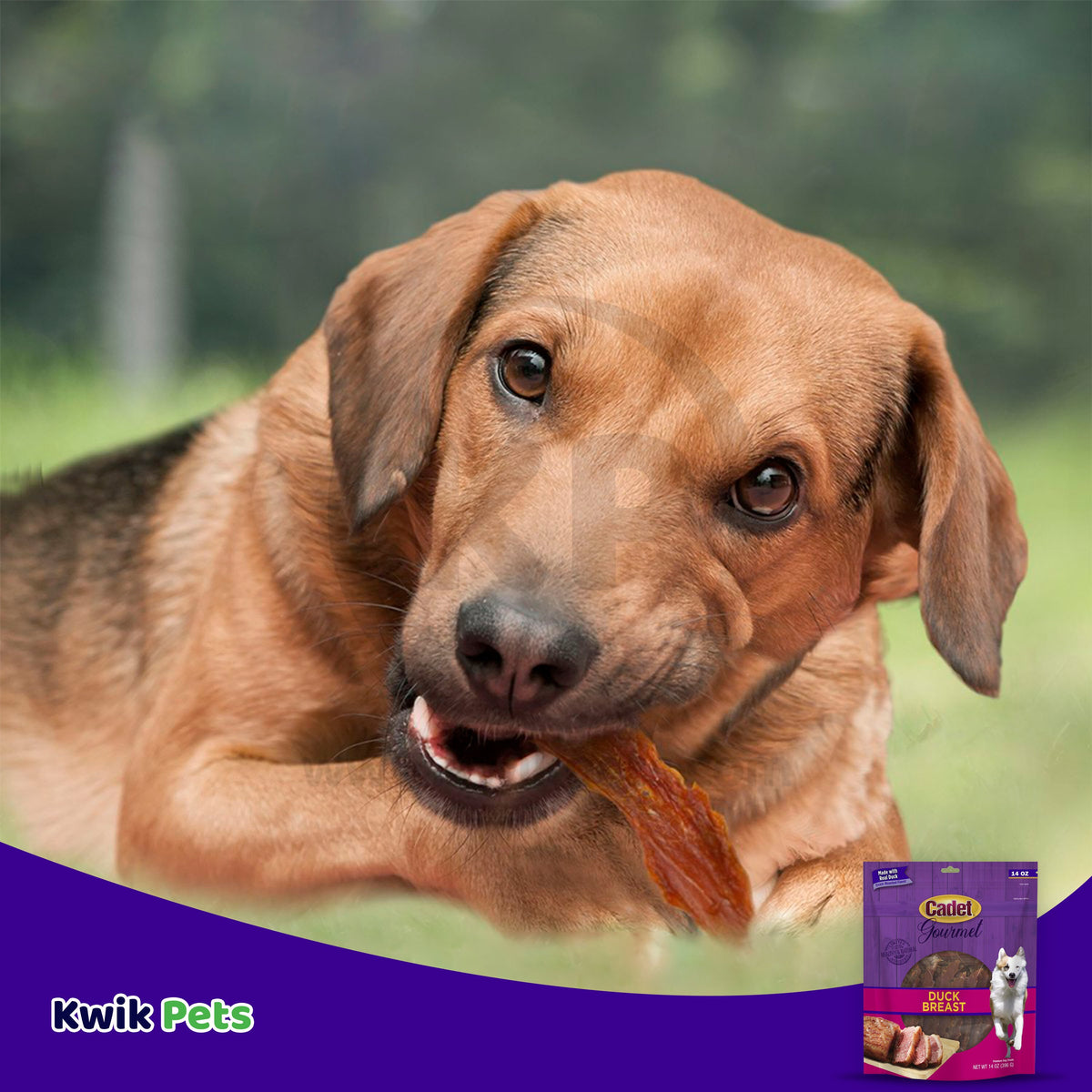 Cadet Gourmet Duck Breast Treats for Dogs