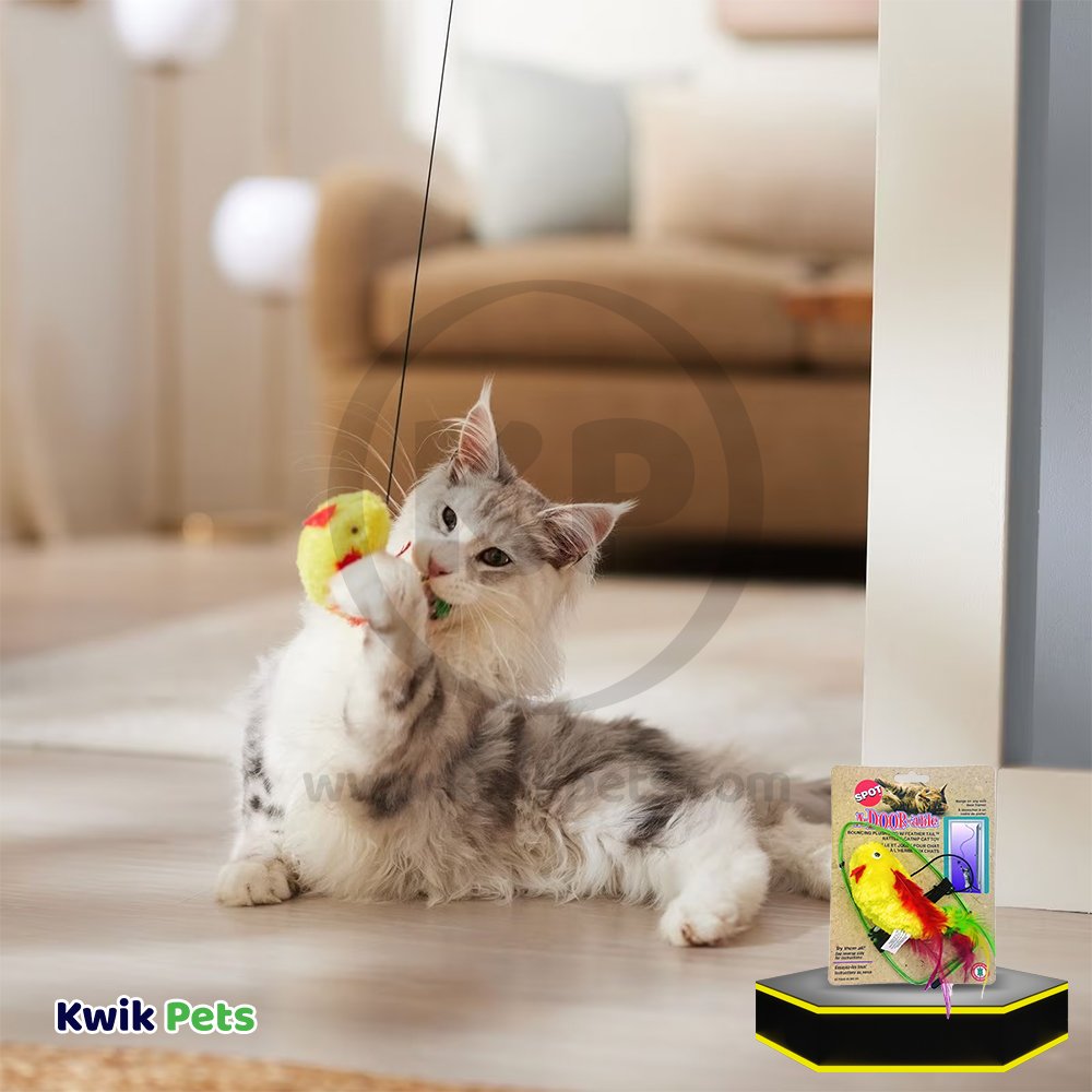 Cat Playing with Ethical Pet Spot A-Door-Able Bouncing Plush Bird with Feather Tail Cat Toy Multicolor 4.5-in