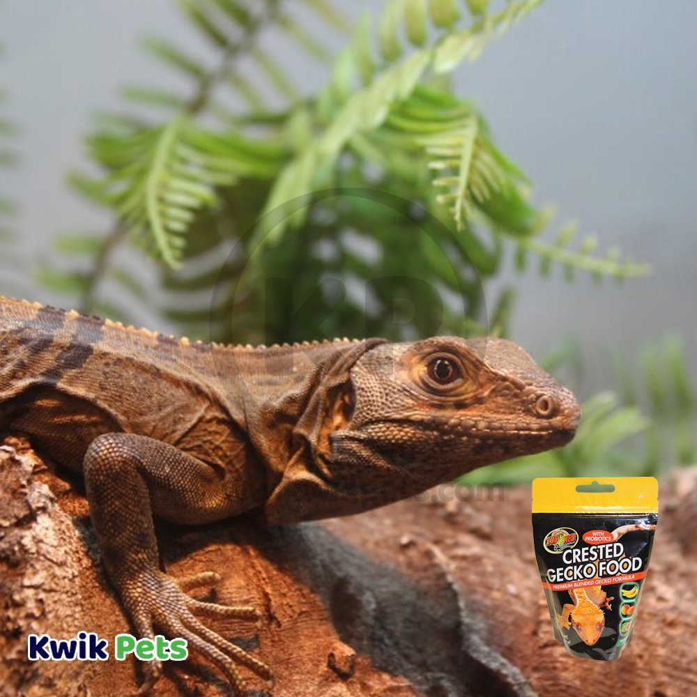 Zoo Med Premium Blended Tropical Fruit Flavor Crested Gecko Dry Food 2-oz, Kwik Pets