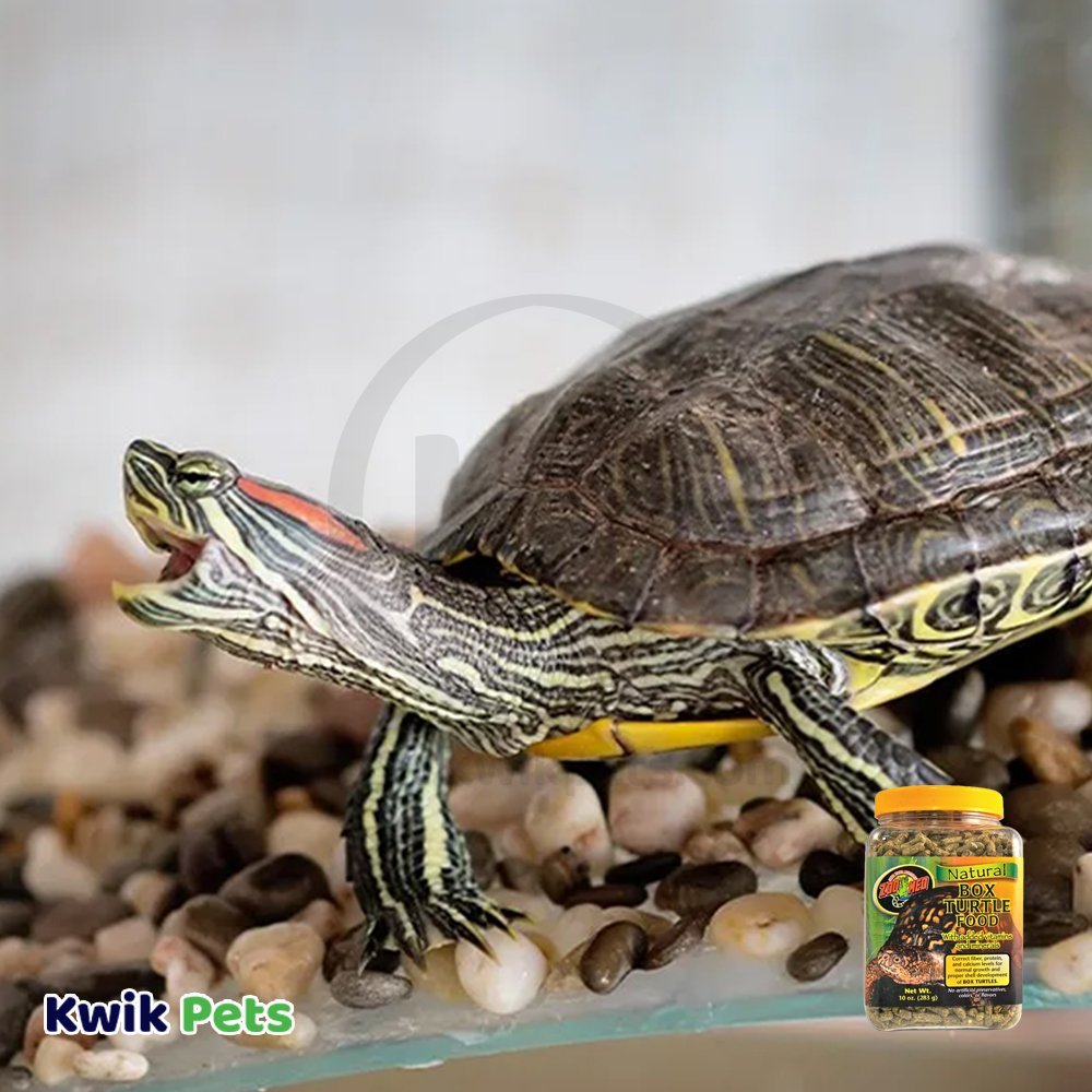 Zoo Med Natural Box Pellet Food for Turtle