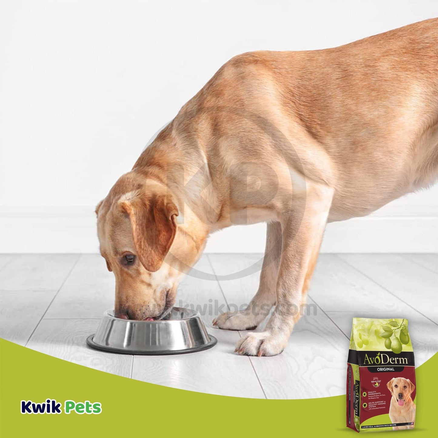 Dog Image of AvoDerm Natural Original Lamb Meal & Brown Rice Recipe Dry Dog Food 4.4-lb