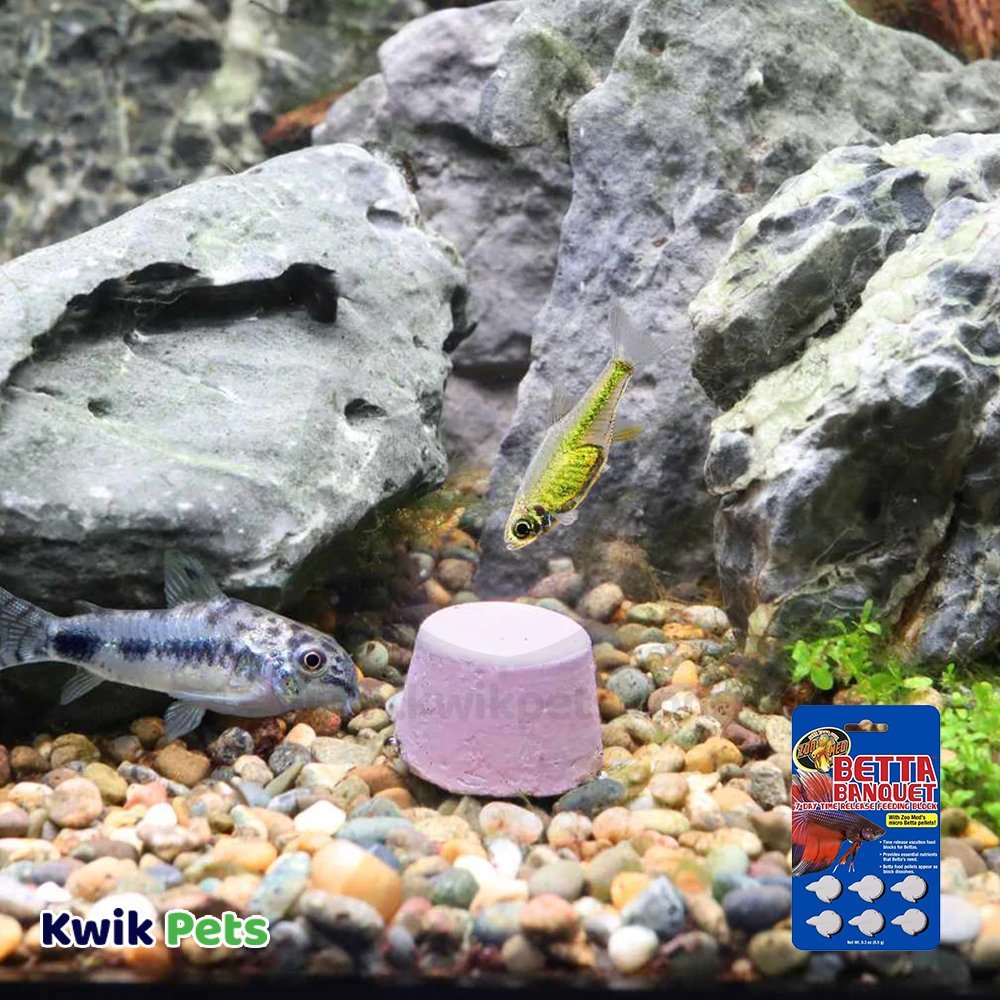 Get Zoo Med Betta Banquet Blocks Products