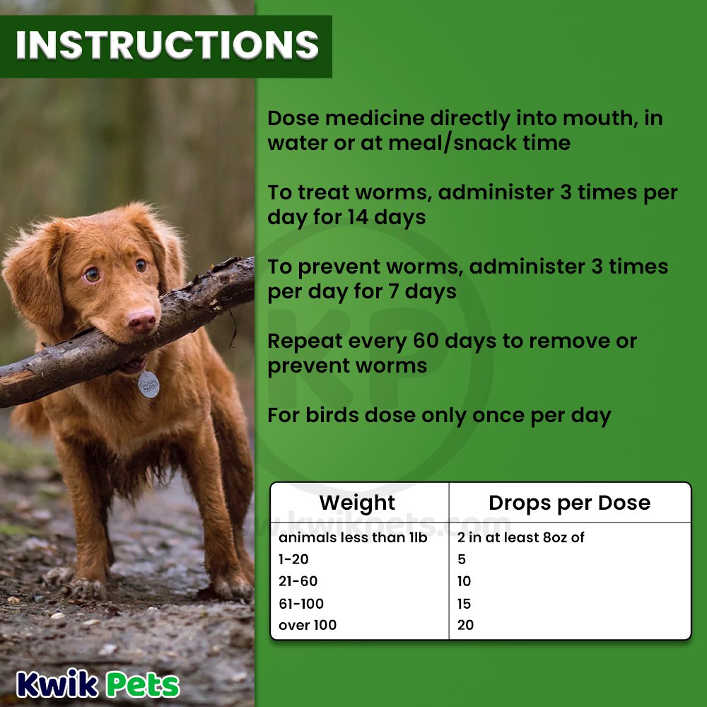 HomeoPet WRM Clear Dewormer 15-ml, Kwik Pets