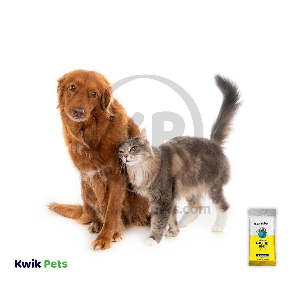 Dog and Cat Image of Earthbath Hypo-Allergenic Pet Grooming Wipes Fragrance Free 100 Count