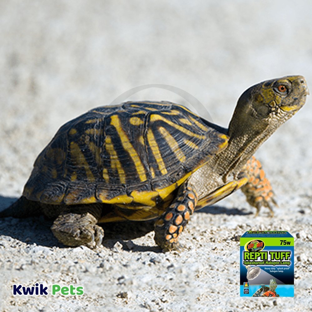 Zoo Med Repti Tuff Splashproof Halogen Lamp for Turtle