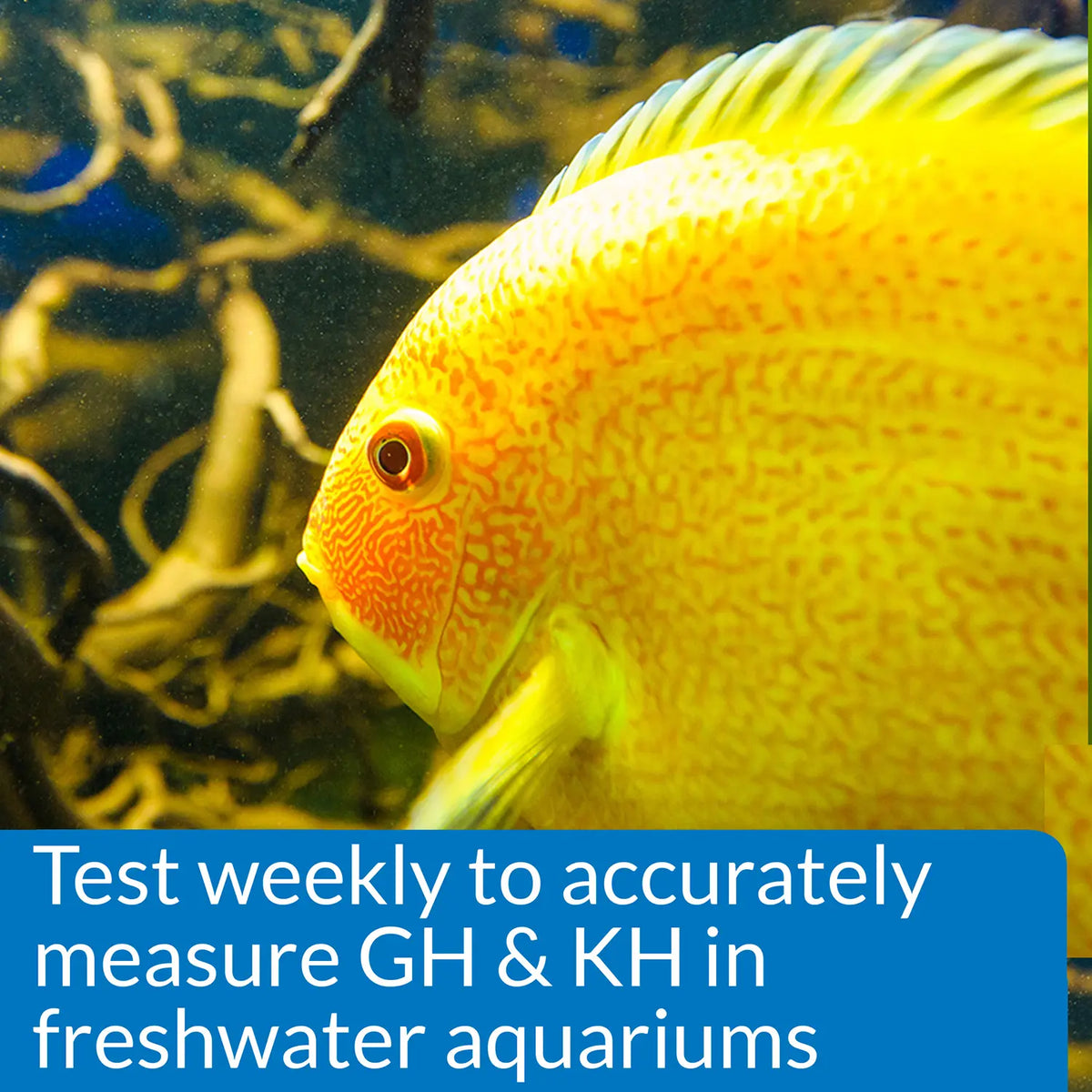 Usages Directions 1 of API GH & KH General & Carbonate Hardness Freshwater Aquarium Test Kit