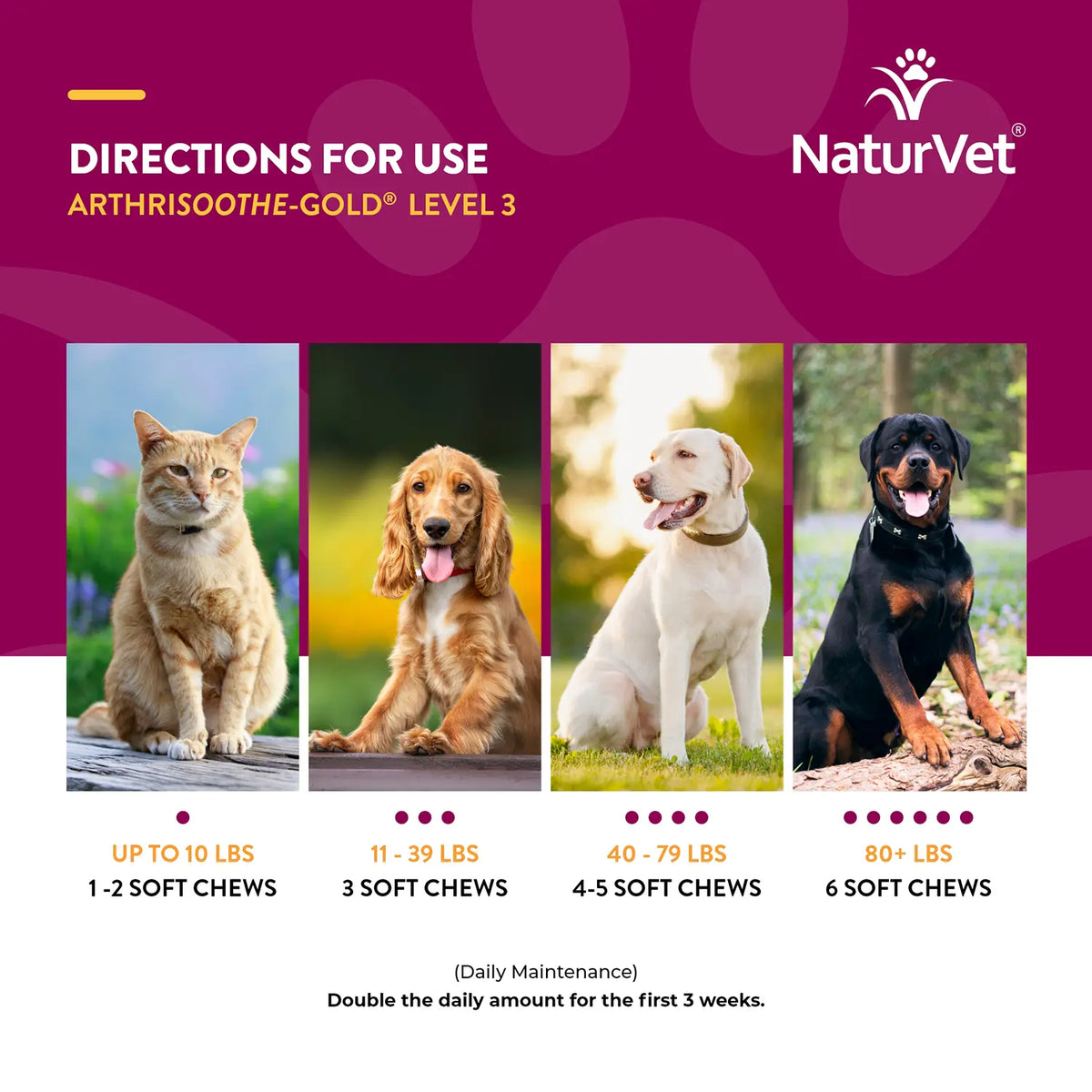 Usages Directions of NaturVet ArthriSoothe-GOLD Level 3 Soft Chews for Dogs & Cats 70 Count 5.9-oz