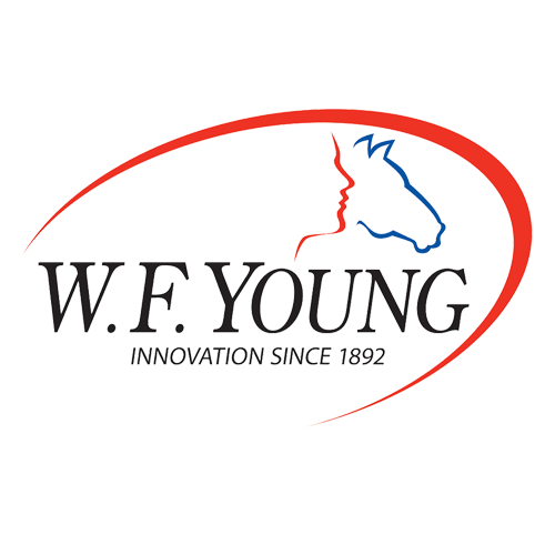 wf-young