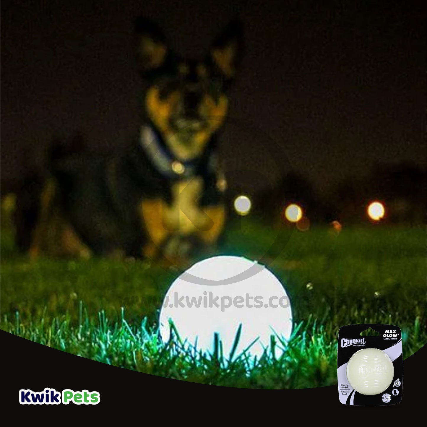 Chuckit! Max Glow Ball Dog Toy Large - 4