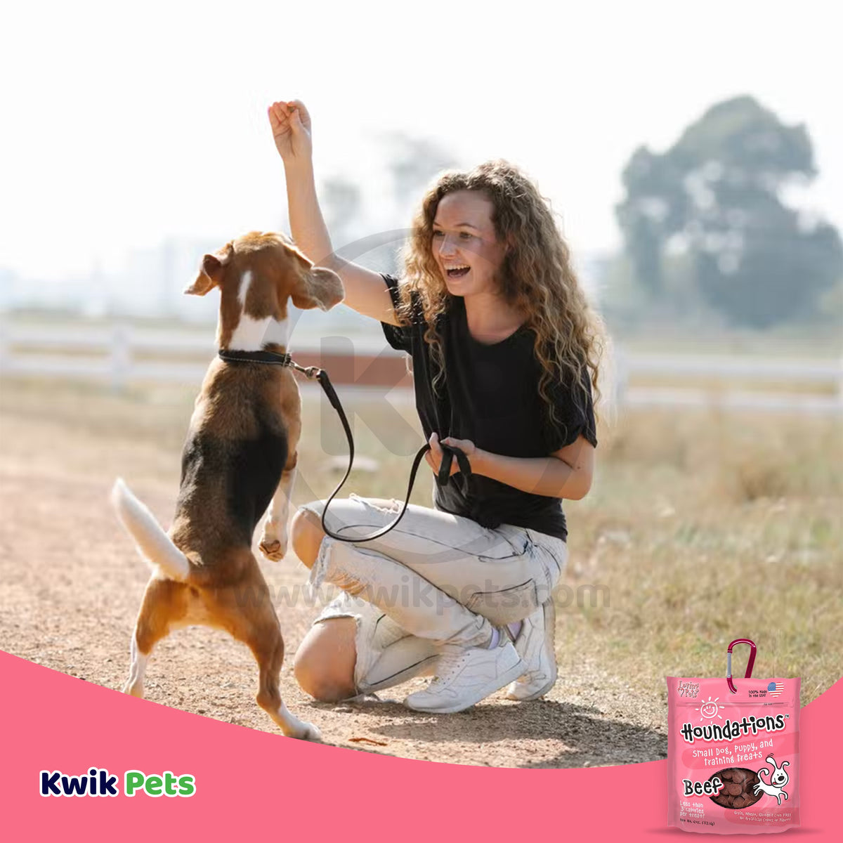 Loving Pets Houndations Small Dog & Puppy Training Treats Beef