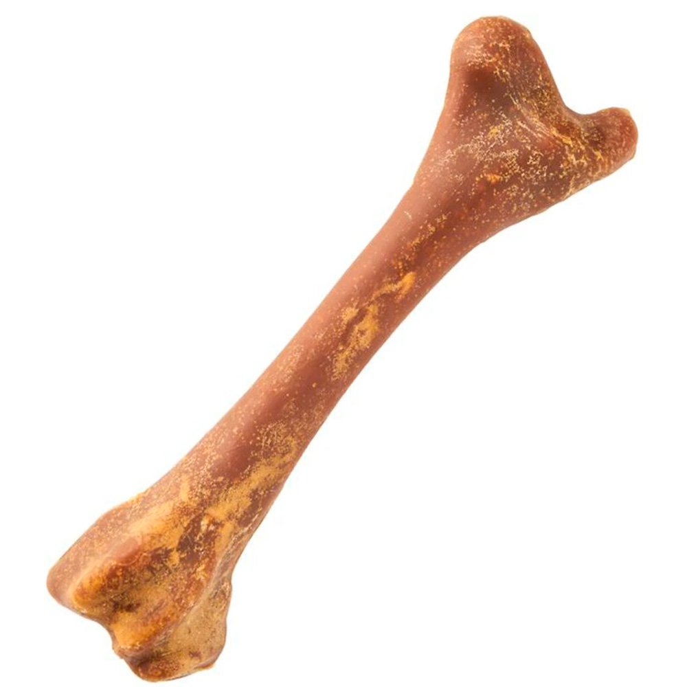 Real Image of N-Bone Pupper Nutter Dental Chew Bone Dog Treats Peanut Butter Large Single