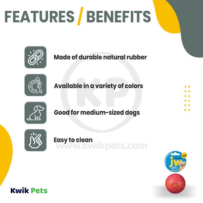 JW Pet iSqueak Ball Medium Assorted, JW Pet