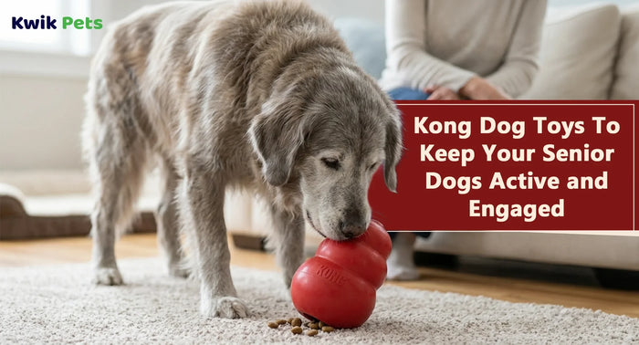 Kong Dog Toys To Keep Your Senior Dogs Active and Engaged