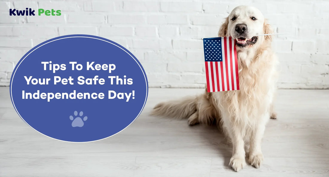 Tips To Keep Your Pet Safe This Independence Day!