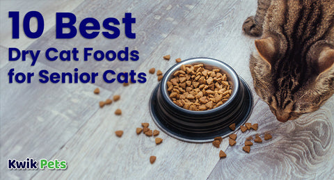 Top 10 Best Dry Cat Foods for Older Cats: Keep Your Senior Feline Healthy