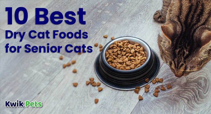 Top 10 Best Dry Cat Foods for Older Cats: Keep Your Senior Feline Healthy