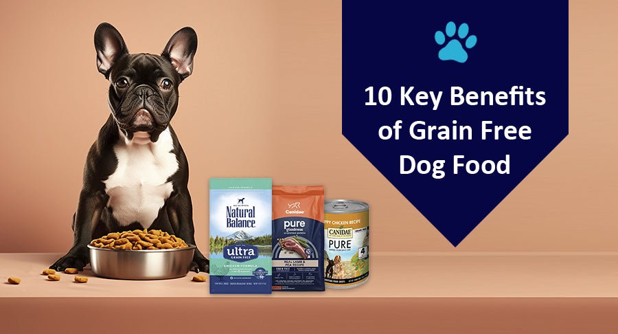 10 Key Benefits of Grain Free Dog Food