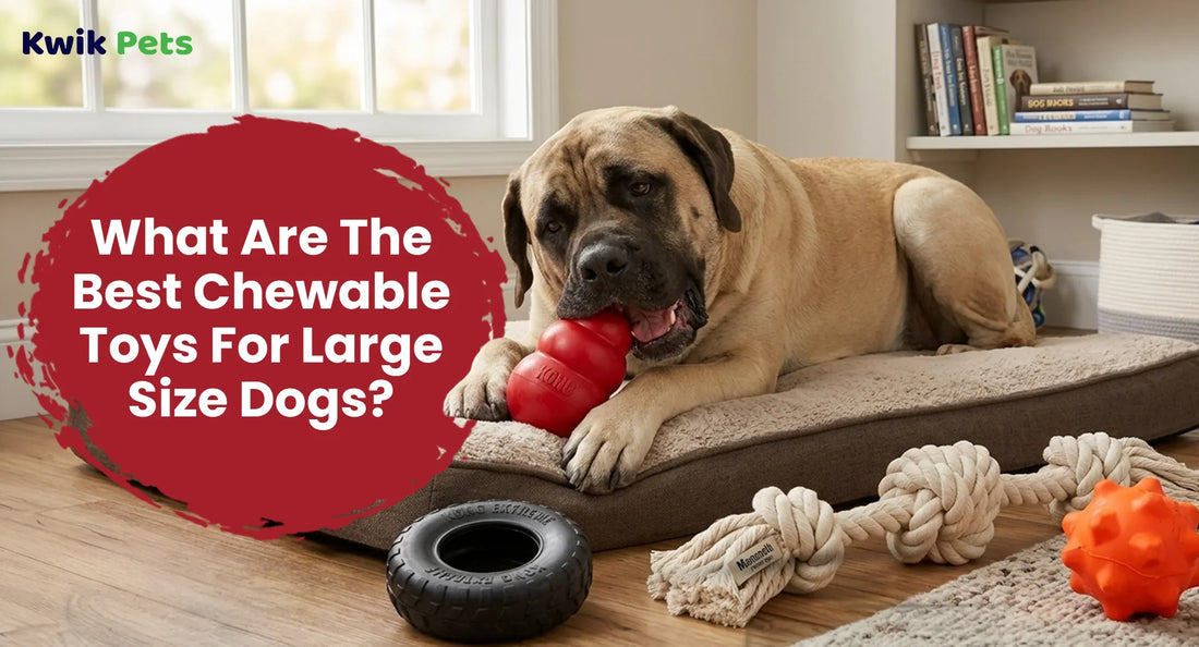What Are The Best Chewable Toys For  Large Size Dogs?